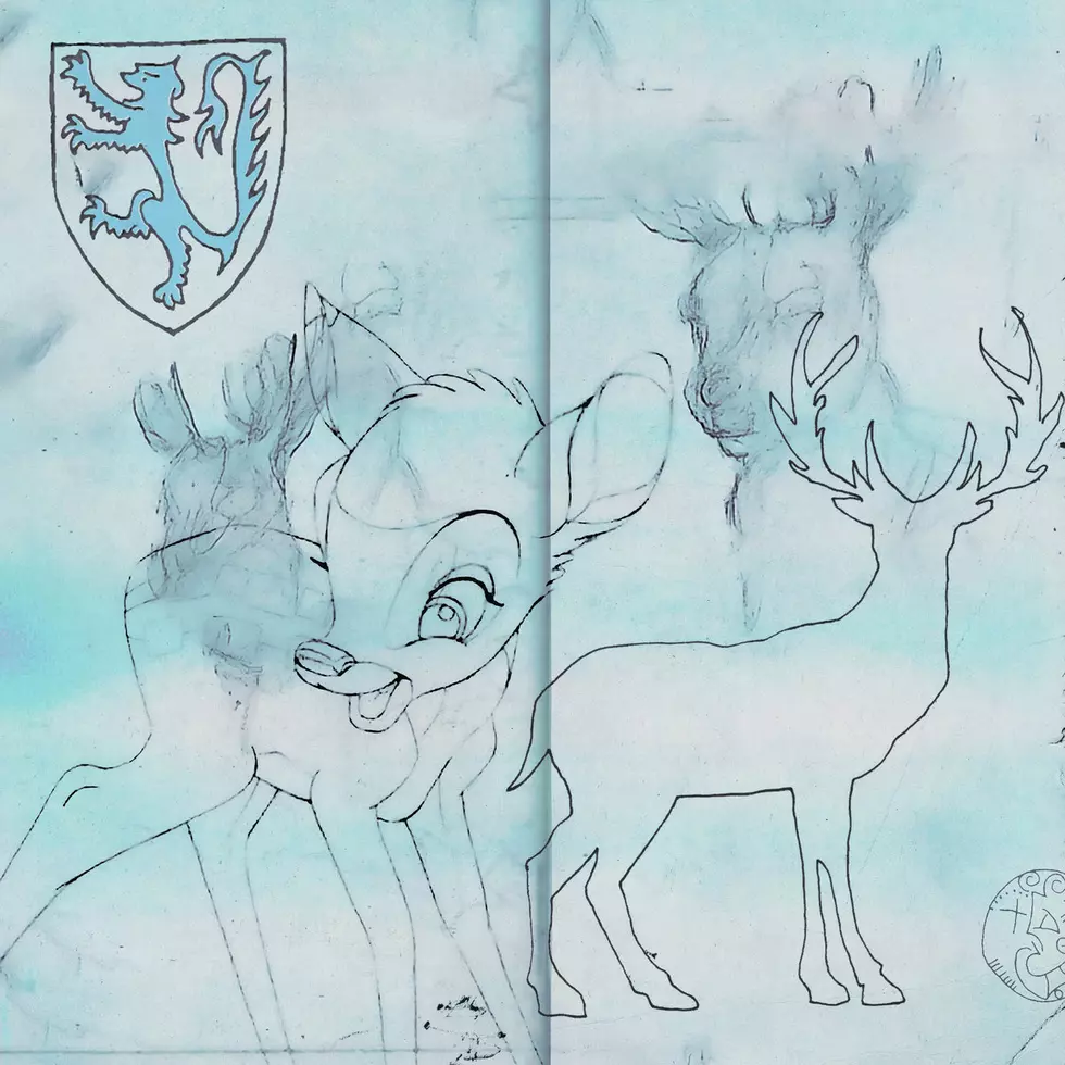 deer park – <i>Terra Infirma</i>